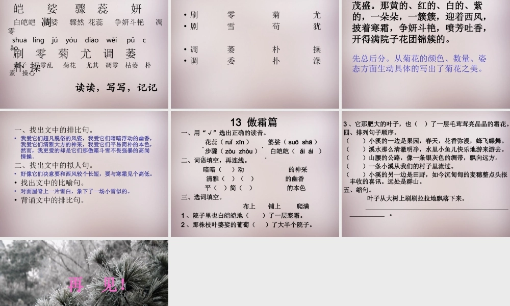 五年级语文上册《傲霜篇》课件3 语文A版-语文A版小学五年级上册语文课件