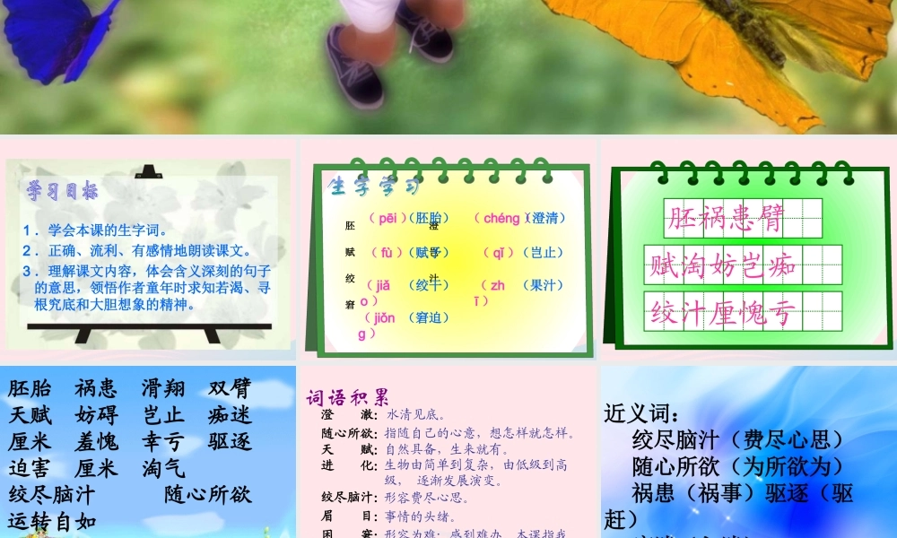 五年级语文下册 第二组 8《童年的发现》课堂教学课件1 新人教版-新人教版小学五年级下册语文课件