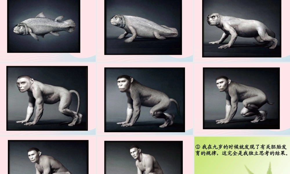 五年级语文下册 第二组 8《童年的发现》课堂教学课件1 新人教版-新人教版小学五年级下册语文课件