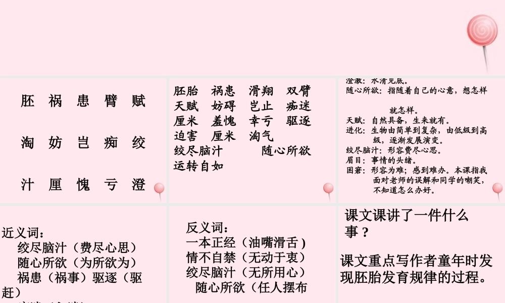 五年级语文下册 第二组 8《童年的发现》课堂教学课件2 新人教版-新人教版小学五年级下册语文课件
