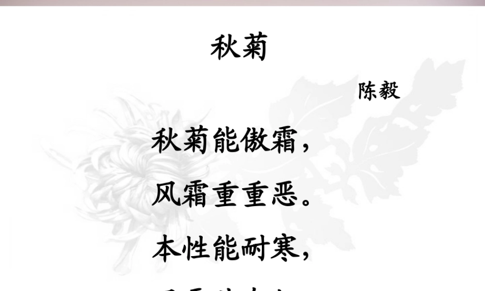 五年级语文上册《傲霜篇》课件4 语文A版-语文A版小学五年级上册语文课件