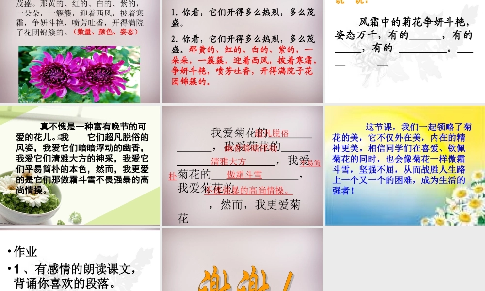 五年级语文上册《傲霜篇》课件4 语文A版-语文A版小学五年级上册语文课件