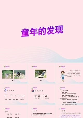 五年级语文下册 第二组 8《童年的发现》课堂教学课件3 新人教版-新人教版小学五年级下册语文课件
