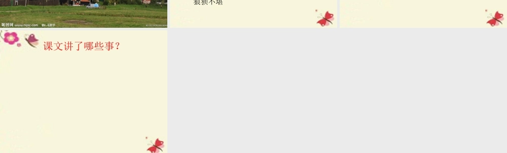 五年级语文下册 第6单元 29《战风车》课件7 语文S版-语文S版小学五年级下册语文课件