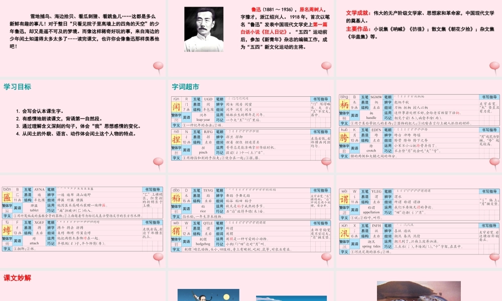 五年级语文下册 第六单元 26 少年闰土课件 语文S版-语文S版小学五年级下册语文课件