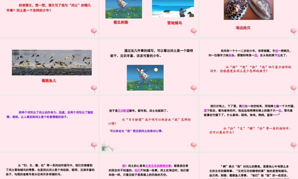 五年级语文下册 第六单元 26 少年闰土课件 语文S版-语文S版小学五年级下册语文课件