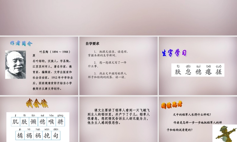 五年级语文上册《稻草人》课件2 语文A版-语文A版小学五年级上册语文课件