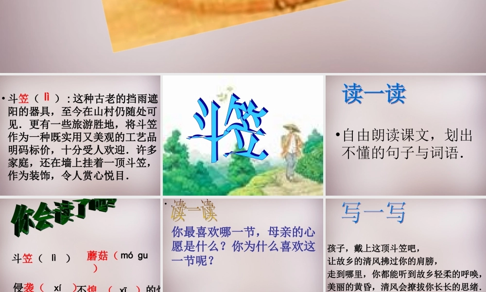 五年级语文上册《斗笠》课件1 语文A版-语文A版小学五年级上册语文课件