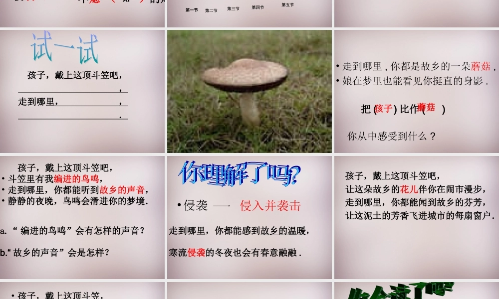 五年级语文上册《斗笠》课件1 语文A版-语文A版小学五年级上册语文课件