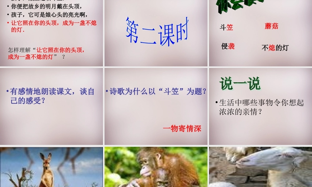 五年级语文上册《斗笠》课件1 语文A版-语文A版小学五年级上册语文课件