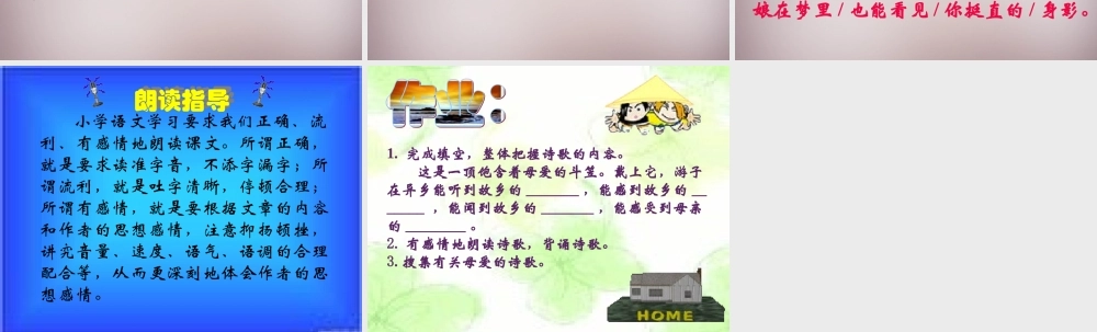 五年级语文上册《斗笠》课件2 语文A版-语文A版小学五年级上册语文课件