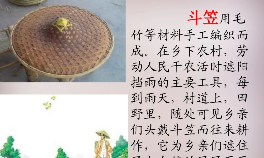 五年级语文上册《斗笠》课件3 语文A版-语文A版小学五年级上册语文课件