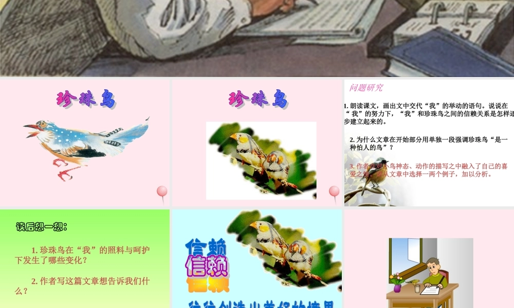 五年级语文下册 第六单元 第21课《珍珠鸟》课件 西师大版-西师大版小学五年级下册语文课件