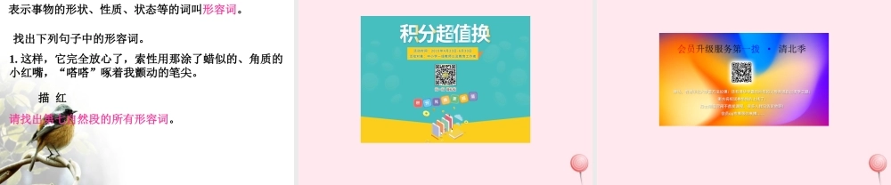 五年级语文下册 第六单元 第21课《珍珠鸟》课件 西师大版-西师大版小学五年级下册语文课件