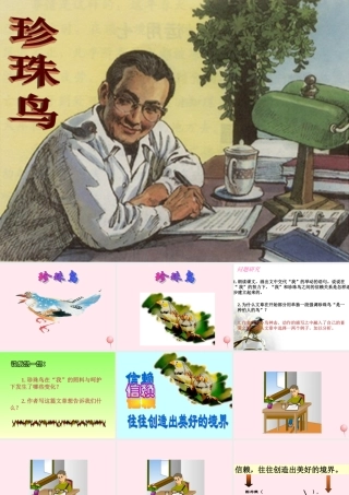 五年级语文下册 第六单元 第21课《珍珠鸟》课件 西师大版-西师大版小学五年级下册语文课件