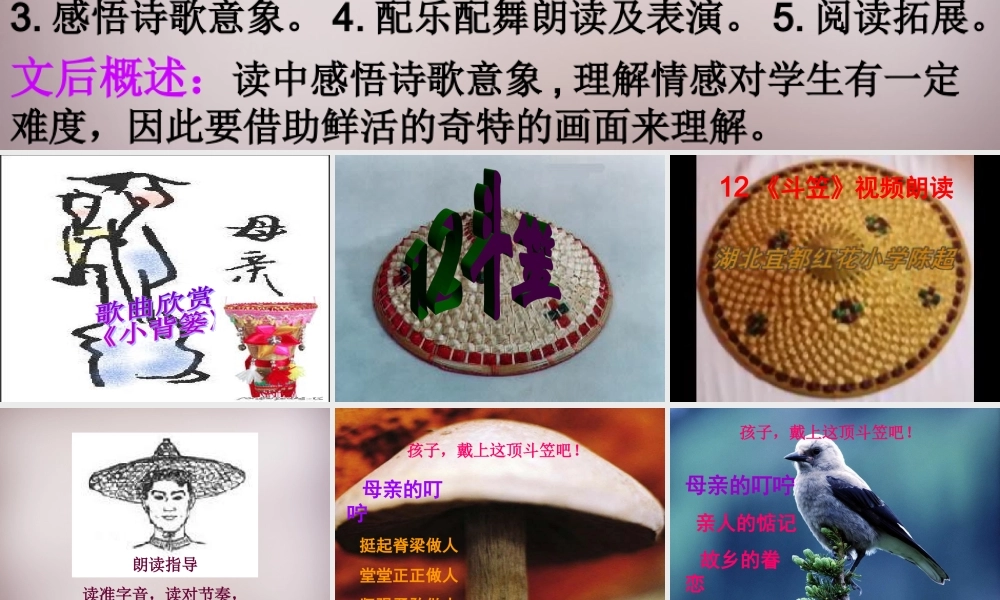 五年级语文上册《斗笠》课件4 语文A版-语文A版小学五年级上册语文课件