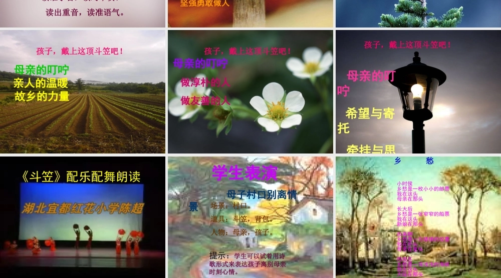 五年级语文上册《斗笠》课件4 语文A版-语文A版小学五年级上册语文课件