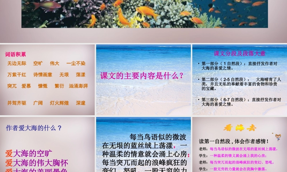 五年级语文上册《富饶的海洋》课件1 语文A版-语文A版小学五年级上册语文课件