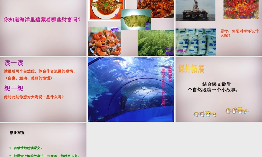 五年级语文上册《富饶的海洋》课件1 语文A版-语文A版小学五年级上册语文课件