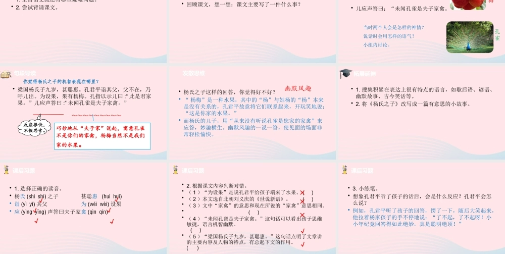 五年级语文下册 第8单元 21杨氏之子课件 新人教版-新人教版小学五年级下册语文课件