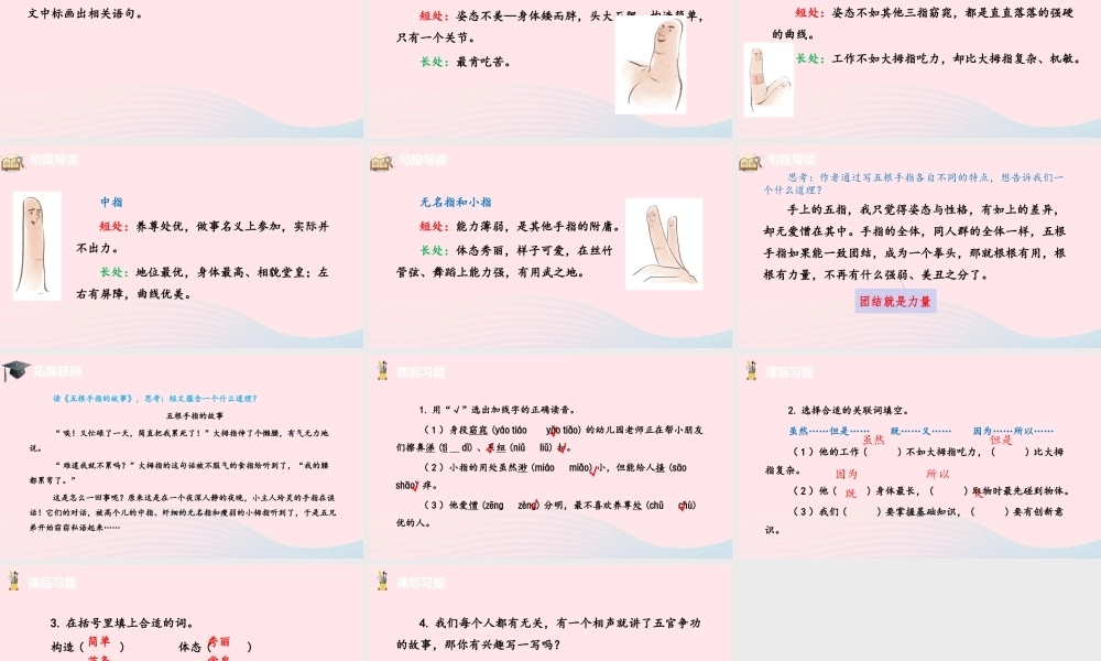 五年级语文下册 第8单元 22手指课件 新人教版-新人教版小学五年级下册语文课件