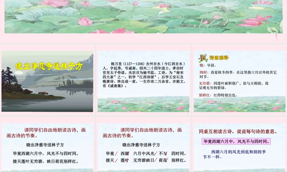 五年级语文下册 第七单元 第24课《古诗两首 晓出净慈寺送林子方》课件 苏教版-苏教版小学五年级下册语文课件