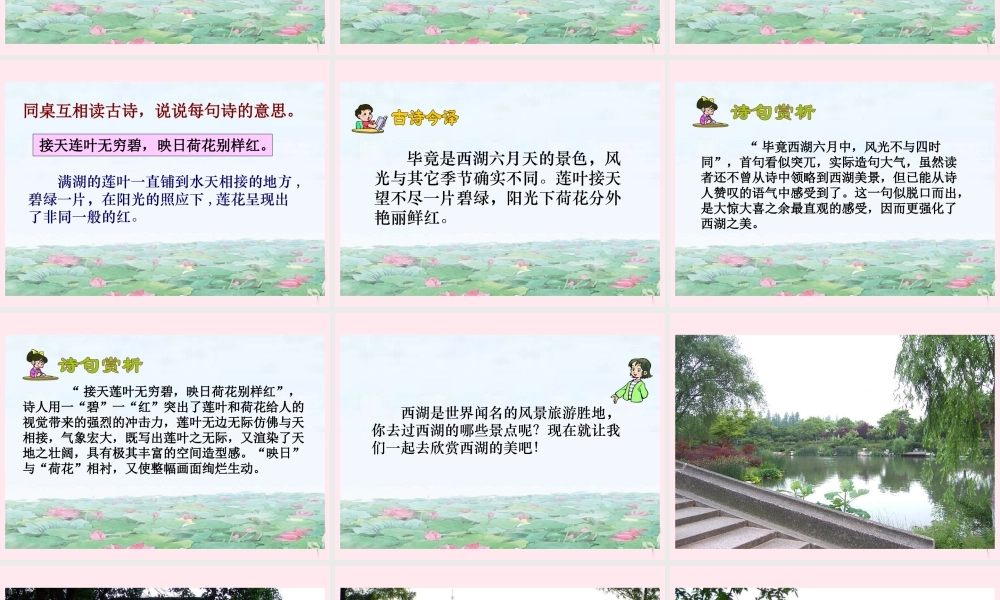 五年级语文下册 第七单元 第24课《古诗两首 晓出净慈寺送林子方》课件 苏教版-苏教版小学五年级下册语文课件