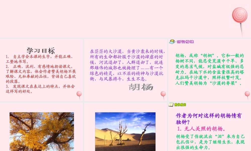 五年级语文下册 第六单元 第23课《胡杨赞》课件 西师大版-西师大版小学五年级下册语文课件