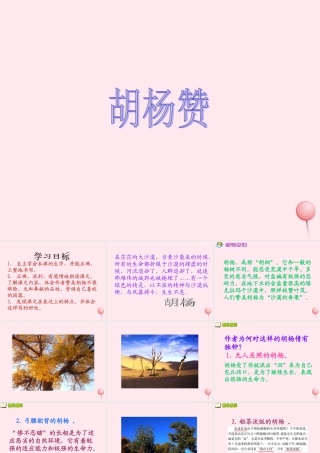 五年级语文下册 第六单元 第23课《胡杨赞》课件 西师大版-西师大版小学五年级下册语文课件