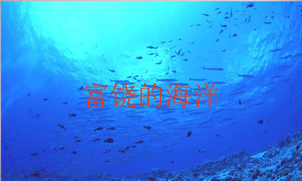 五年级语文上册《富饶的海洋》课件2 语文A版-语文A版小学五年级上册语文课件