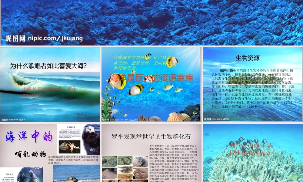 五年级语文上册《富饶的海洋》课件2 语文A版-语文A版小学五年级上册语文课件