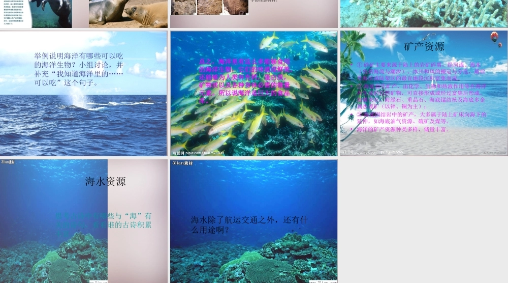 五年级语文上册《富饶的海洋》课件2 语文A版-语文A版小学五年级上册语文课件