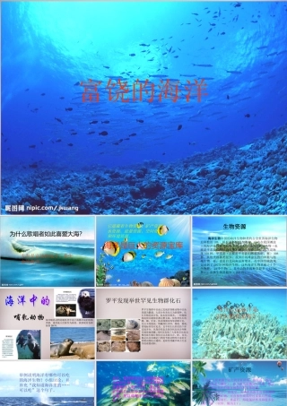 五年级语文上册《富饶的海洋》课件2 语文A版-语文A版小学五年级上册语文课件