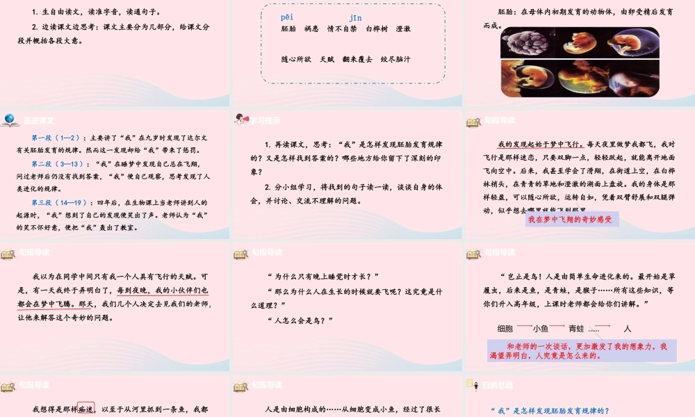 五年级语文下册 第8单元 23童年的发现课件 新人教版-新人教版小学五年级下册语文课件