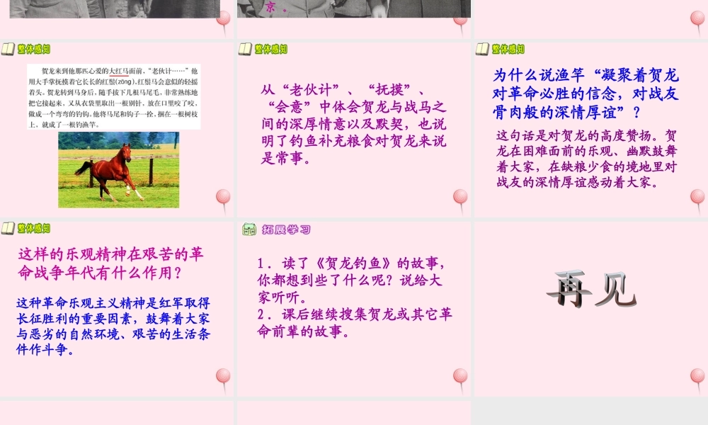 五年级语文下册 第七单元 第25课《贺龙钓鱼》课件 西师大版-西师大版小学五年级下册语文课件