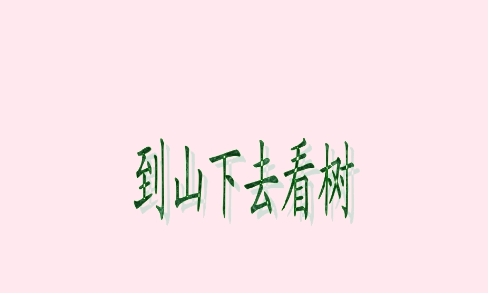 五年级语文下册 第六单元 第24课《到山下去看树》课件 西师大版-西师大版小学五年级下册语文课件