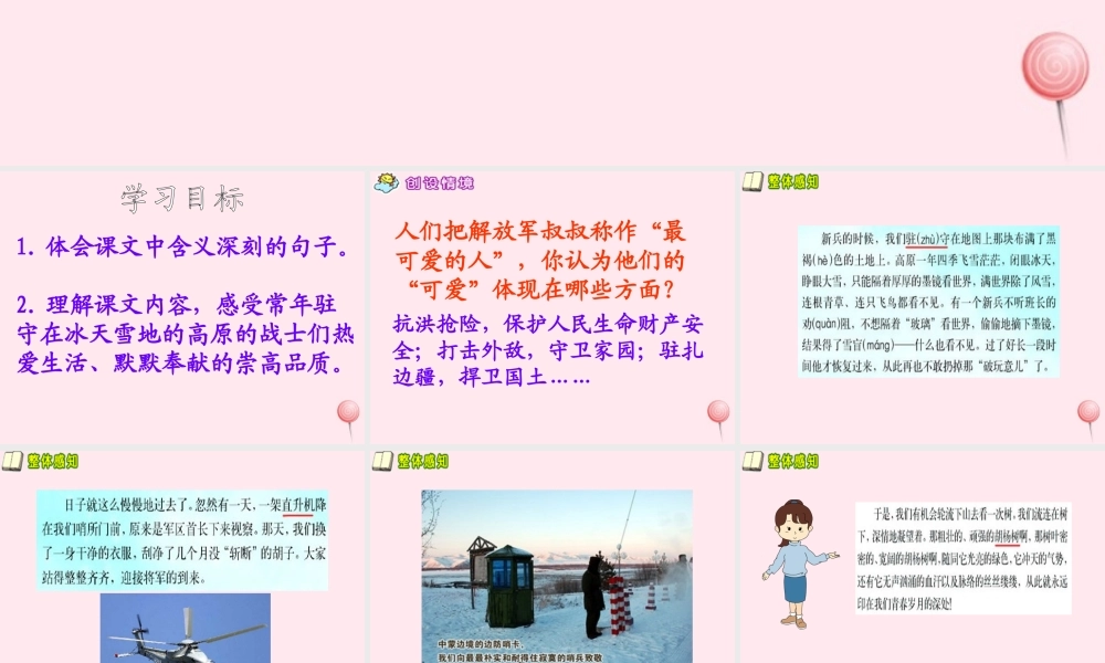 五年级语文下册 第六单元 第24课《到山下去看树》课件 西师大版-西师大版小学五年级下册语文课件