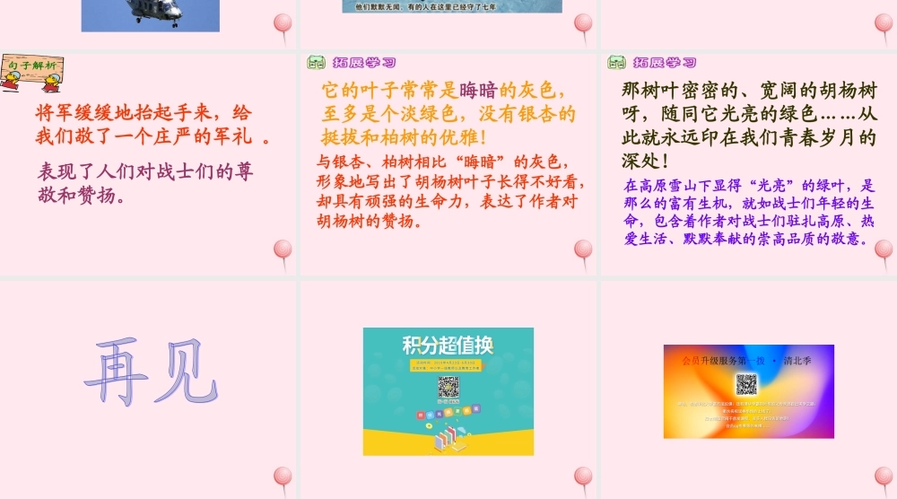 五年级语文下册 第六单元 第24课《到山下去看树》课件 西师大版-西师大版小学五年级下册语文课件