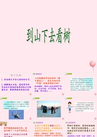 五年级语文下册 第六单元 第24课《到山下去看树》课件 西师大版-西师大版小学五年级下册语文课件