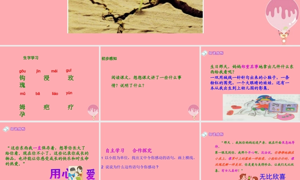 五年级语文上册 第六单元 生命的感动课件1 湘教版-湘教版小学五年级上册语文课件