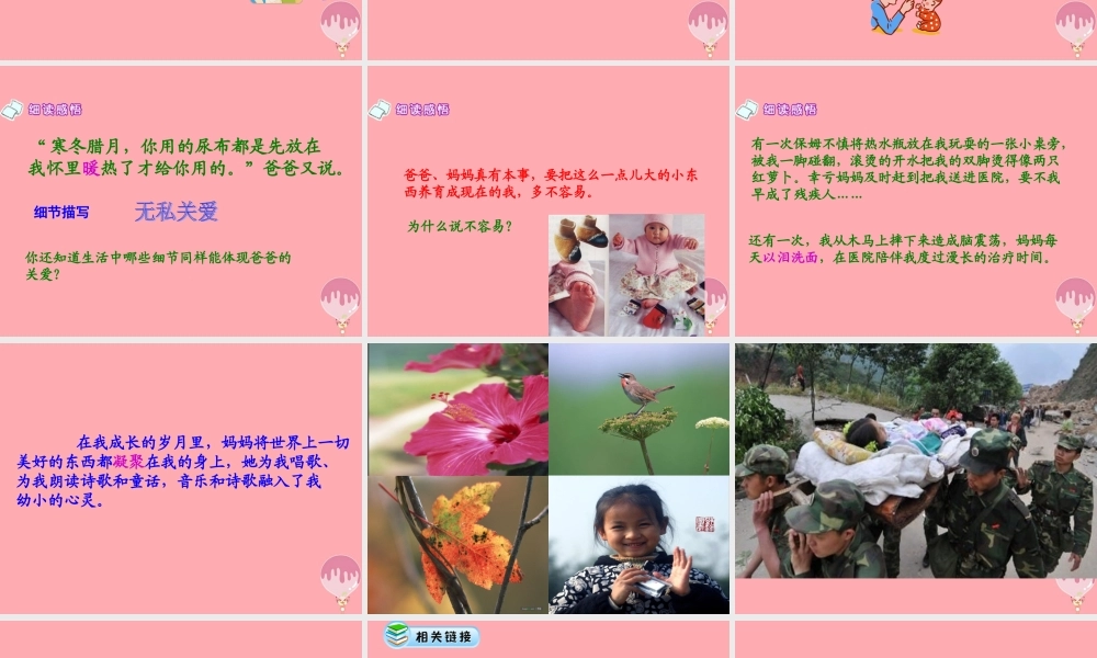 五年级语文上册 第六单元 生命的感动课件1 湘教版-湘教版小学五年级上册语文课件