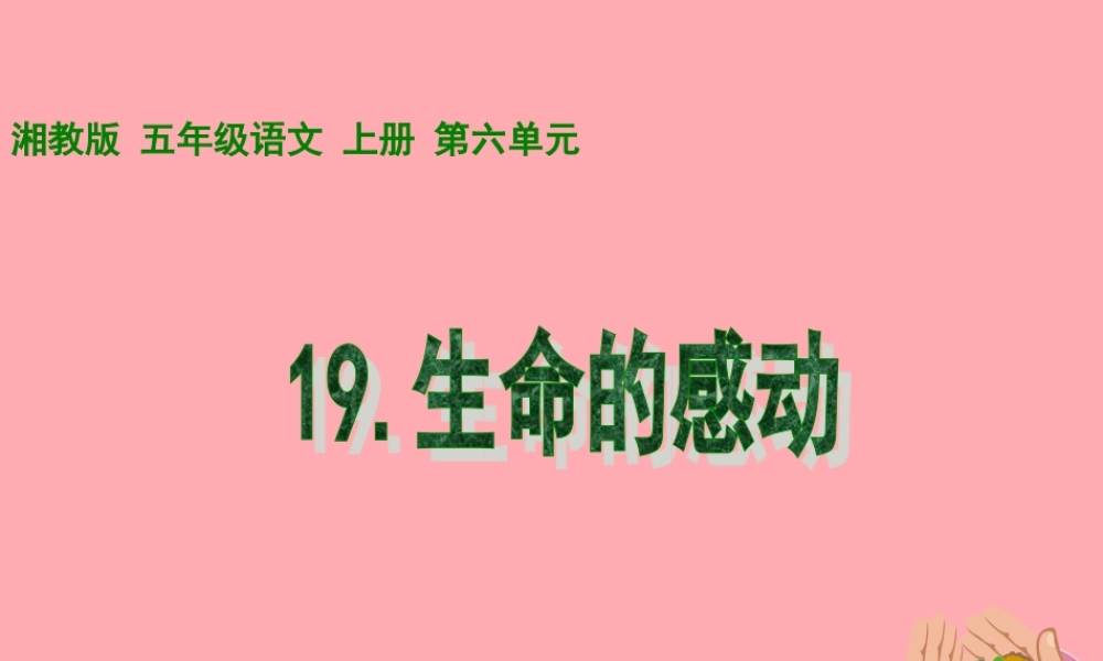 五年级语文上册 第六单元 生命的感动课件2 湘教版-湘教版小学五年级上册语文课件
