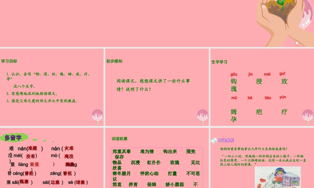 五年级语文上册 第六单元 生命的感动课件2 湘教版-湘教版小学五年级上册语文课件