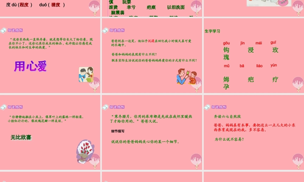 五年级语文上册 第六单元 生命的感动课件2 湘教版-湘教版小学五年级上册语文课件