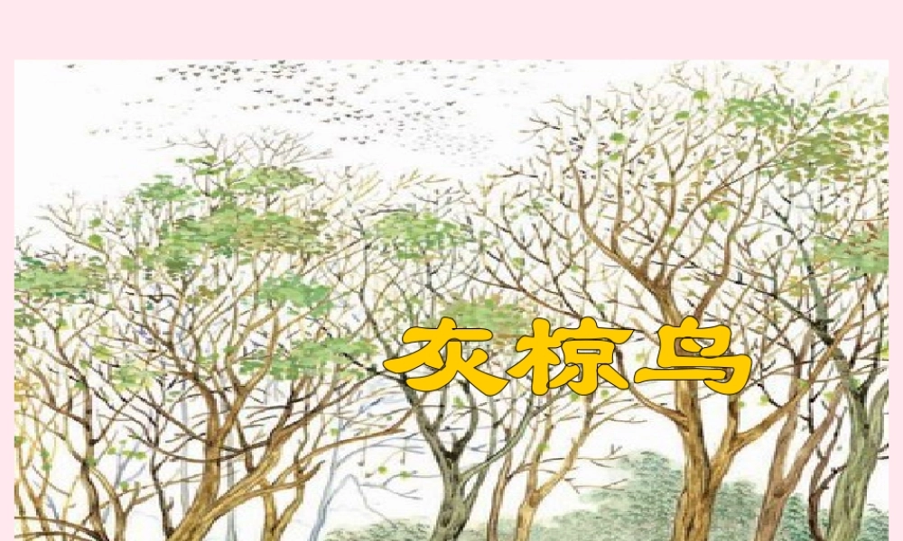 五年级语文下册 第七单元 第26课《灰椋鸟》课件 苏教版-苏教版小学五年级下册语文课件
