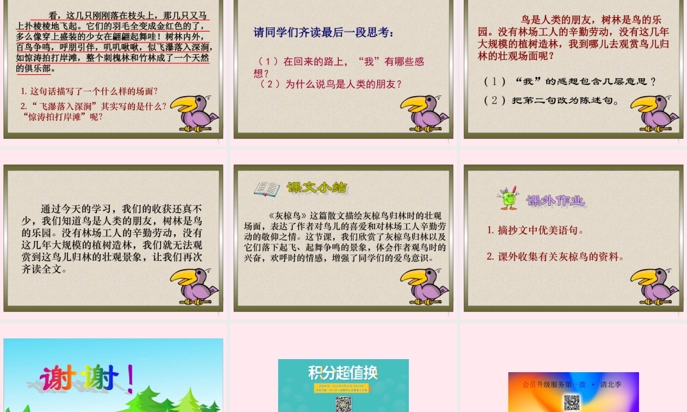 五年级语文下册 第七单元 第26课《灰椋鸟》课件 苏教版-苏教版小学五年级下册语文课件