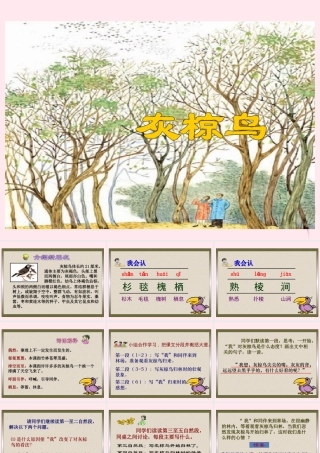 五年级语文下册 第七单元 第26课《灰椋鸟》课件 苏教版-苏教版小学五年级下册语文课件