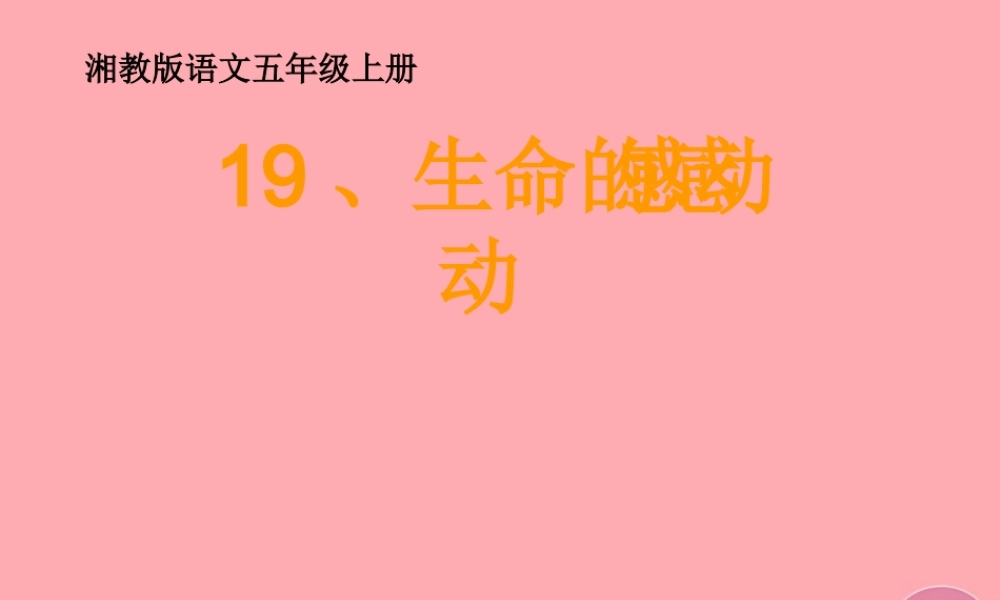 五年级语文上册 第六单元 生命的感动课件3 湘教版-湘教版小学五年级上册语文课件