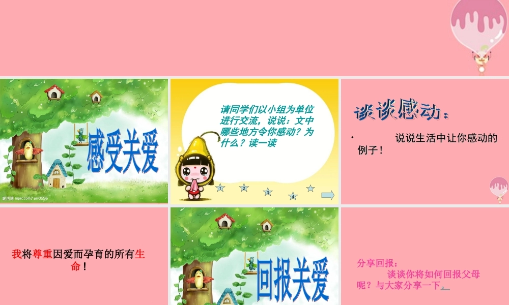 五年级语文上册 第六单元 生命的感动课件3 湘教版-湘教版小学五年级上册语文课件