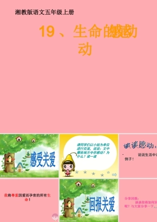 五年级语文上册 第六单元 生命的感动课件3 湘教版-湘教版小学五年级上册语文课件